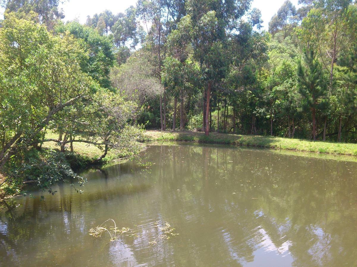 Pousada Ilhas Do Sol Senador Amaral Kamer foto